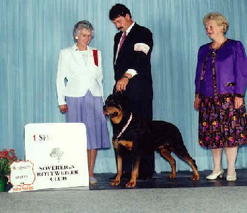 Arco (5 yrs old) winning a Select at the SRC under Mrs. Jan Marshall