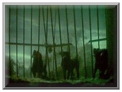 A screenshot from the Omen