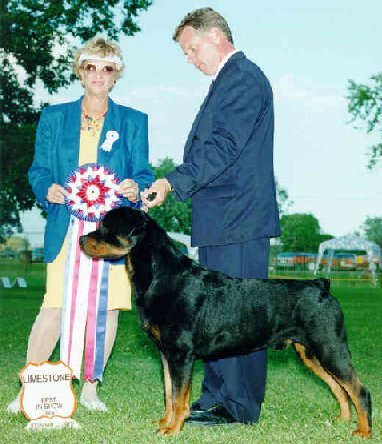Oliver winning another Best In Show!