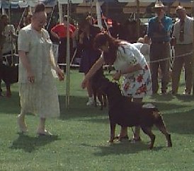 Dianna & Connie taking RWB at the Rottie Specialty