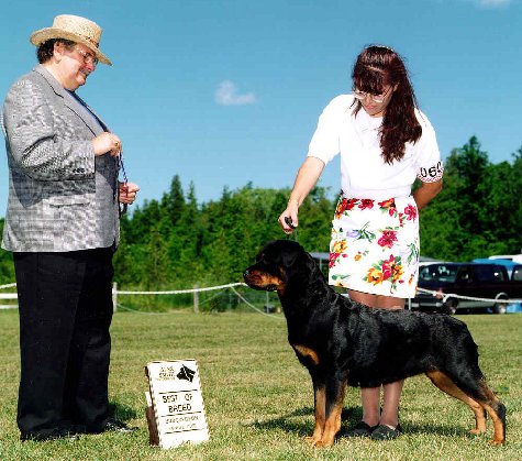 Dianna handling Connie to her FIRST Best of Breed!