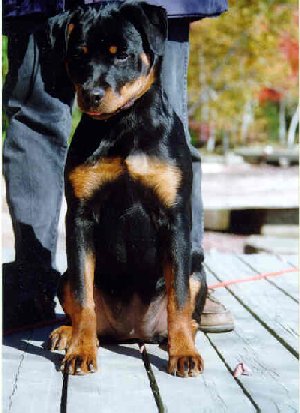 Cree again, at 4 months old