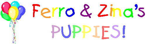 Ferro & Zina Puppies!