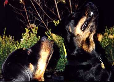 Sam at 5-months, with her Mother, PDQ
