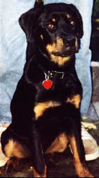 Samantha at 5-months old