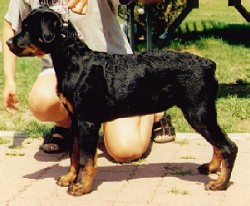 K.D. at 16 weeks old