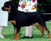 Treu winning her Best Puppy In Specialty at 7 months old with Dianna