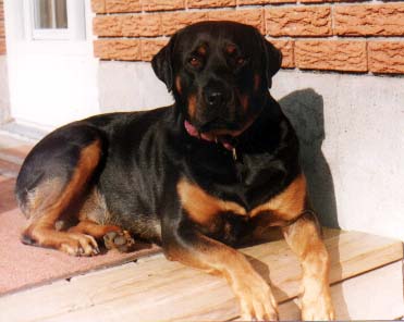 Treu, at 5-years old